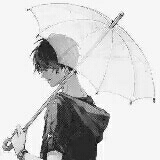 ┊ 戒網 ╮