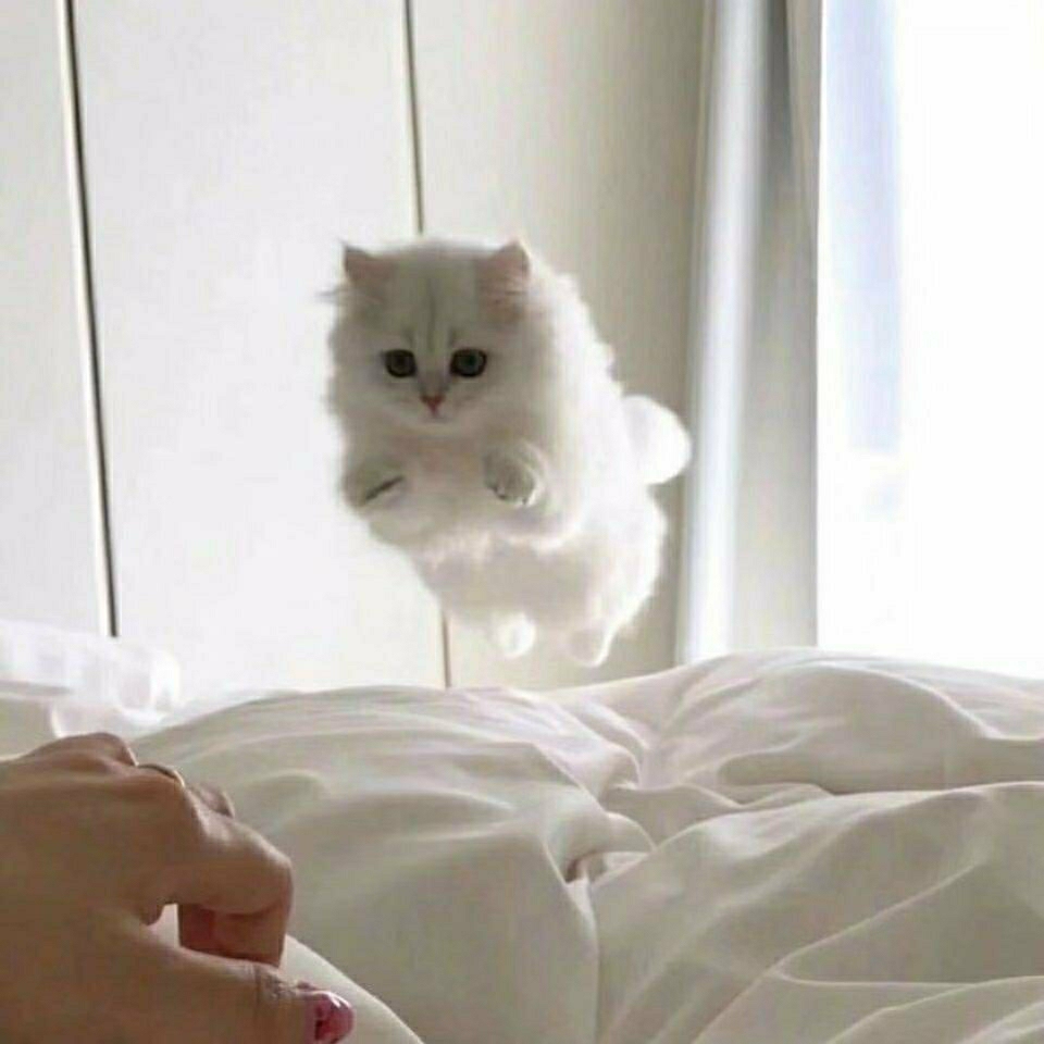 々葬爱$