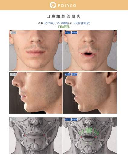 素描頭像與速寫人物臨摹要點